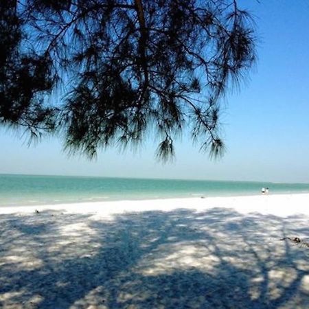 סיינט פיט ביץ' Affordable Beach Condos - One Bedroom Dlx Condos מראה חיצוני תמונה