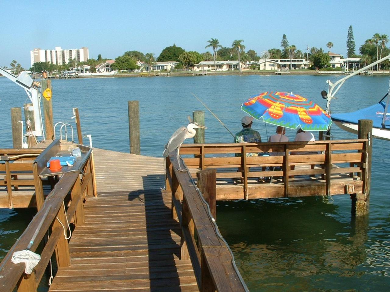 סיינט פיט ביץ' Affordable Beach Condos - One Bedroom Dlx Condos מראה חיצוני תמונה