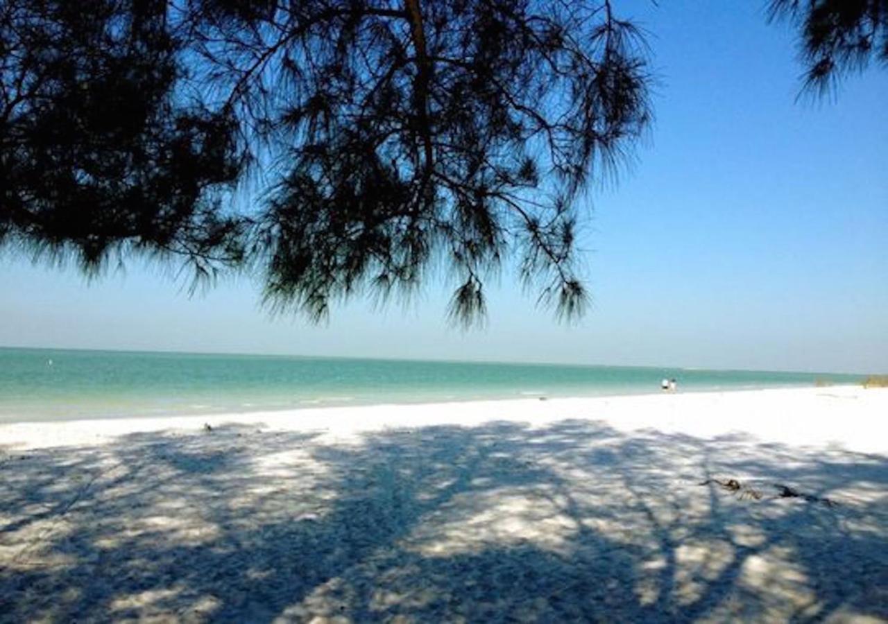 סיינט פיט ביץ' Affordable Beach Condos - One Bedroom Dlx Condos מראה חיצוני תמונה